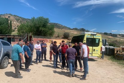 Amigos de La Saca elige a los novillos para los festejos de San Juan 2023 en Valonsadero y Soria. HDS