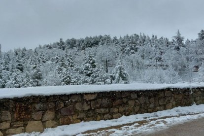 Nevada en Soria.