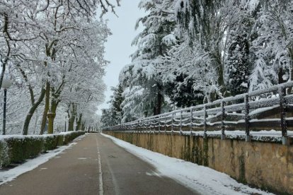 Parque del Castillo en Soria.