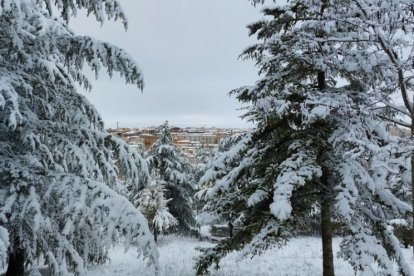 Parque del Castillo en Soria.