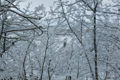 Parque del Castillo en Soria.
