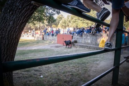 Celebración matutina del Lavalenguas de San Juan 2022 en Soria. GONZALO MONTESEGURO