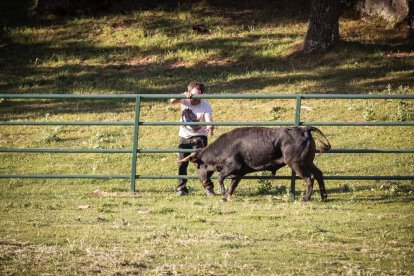 Celebración matutina del Lavalenguas de San Juan 2022 en Soria. GONZALO MONTESEGURO