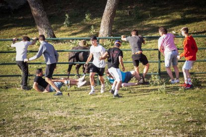 Celebración matutina del Lavalenguas de San Juan 2022 en Soria. GONZALO MONTESEGURO