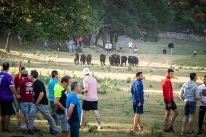 Celebración matutina del Lavalenguas de San Juan 2022 en Soria. GONZALO MONTESEGURO