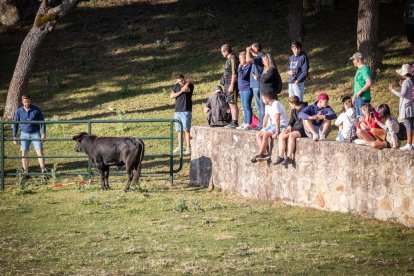 Celebración matutina del Lavalenguas de San Juan 2022 en Soria. GONZALO MONTESEGURO