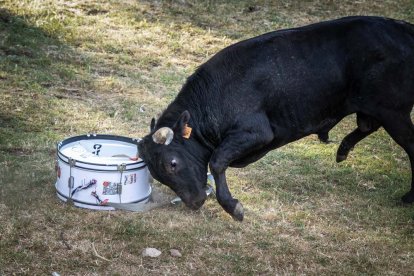 Celebración matutina del Lavalenguas de San Juan 2022 en Soria. GONZALO MONTESEGURO