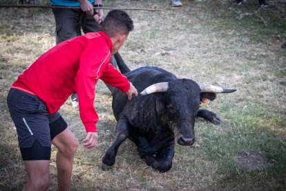 Celebración matutina del Lavalenguas de San Juan 2022 en Soria. GONZALO MONTESEGURO