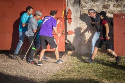 Celebración matutina del Lavalenguas de San Juan 2022 en Soria. GONZALO MONTESEGURO