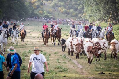 Celebración matutina del Lavalenguas de San Juan 2022 en Soria. GONZALO MONTESEGURO