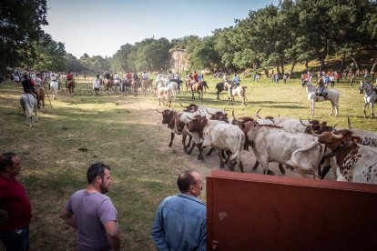 Celebración matutina del Lavalenguas de San Juan 2022 en Soria. GONZALO MONTESEGURO