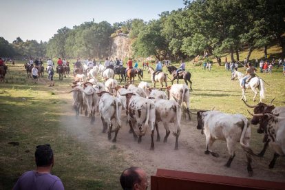 Celebración matutina del Lavalenguas de San Juan 2022 en Soria. GONZALO MONTESEGURO