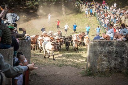 Celebración matutina del Lavalenguas de San Juan 2022 en Soria. GONZALO MONTESEGURO