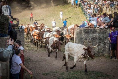 Celebración matutina del Lavalenguas de San Juan 2022 en Soria. GONZALO MONTESEGURO