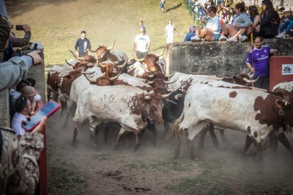 Celebración matutina del Lavalenguas de San Juan 2022 en Soria. GONZALO MONTESEGURO