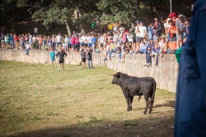 Celebración matutina del Lavalenguas de San Juan 2022 en Soria. GONZALO MONTESEGURO