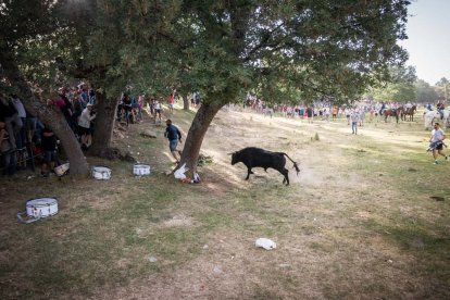 Celebración matutina del Lavalenguas de San Juan 2022 en Soria. GONZALO MONTESEGURO