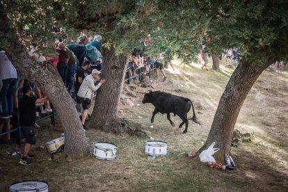 Celebración matutina del Lavalenguas de San Juan 2022 en Soria. GONZALO MONTESEGURO