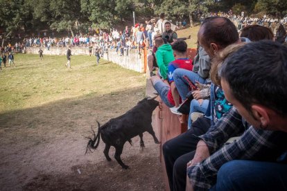 Celebración matutina del Lavalenguas de San Juan 2022 en Soria. GONZALO MONTESEGURO