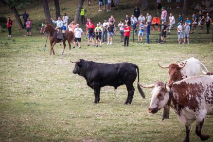 Celebración matutina del Lavalenguas de San Juan 2022 en Soria. GONZALO MONTESEGURO