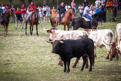 Celebración matutina del Lavalenguas de San Juan 2022 en Soria. GONZALO MONTESEGURO
