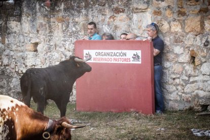 Celebración matutina del Lavalenguas de San Juan 2022 en Soria. GONZALO MONTESEGURO