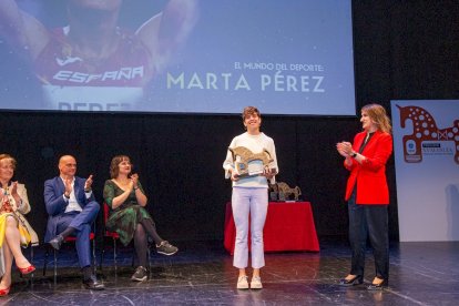 Gala de los premios Numancia de Heraldo Diario de Soria (9)