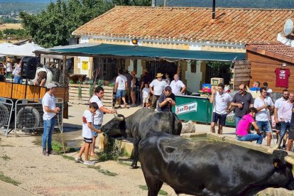 Trashumancia en Gallinero