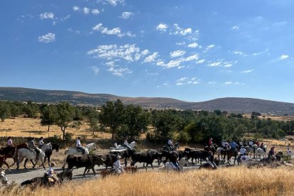 Trashumancia en Gallinero
