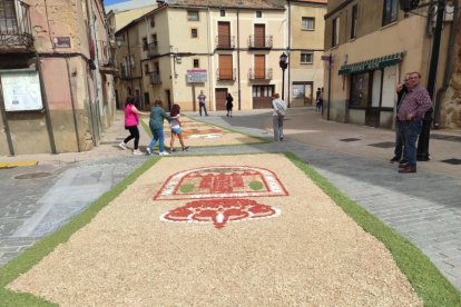 Alfombras florales en San Esteban.-ANA HERNANDO