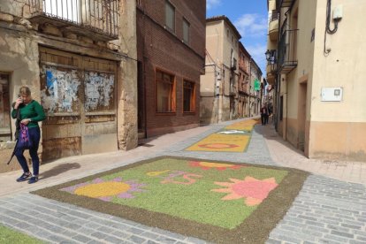 Alfombras florales en San Esteban.-ANA HERNANDO