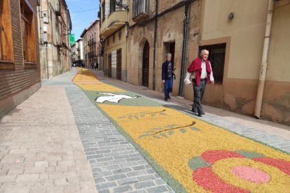 Alfombras florales en San Esteban.-ANA HERNANDO