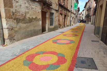 Alfombras florales en San Esteban.-ANA HERNANDO