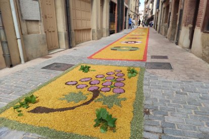 Alfombras florales en San Esteban.-ANA HERNANDO