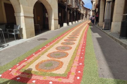 Alfombras florales en San Esteban.-ANA HERNANDO