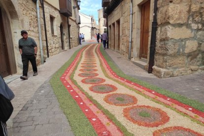 Alfombras florales en San Esteban.-ANA HERNANDO
