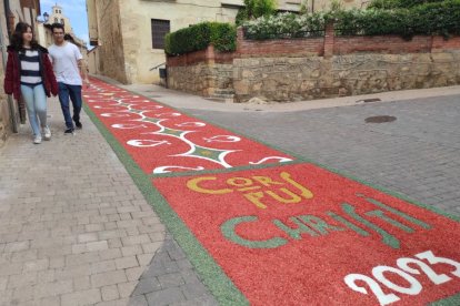 Alfombras florales en San Esteban.-ANA HERNANDO