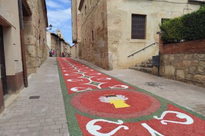 Alfombras florales en San Esteban.-ANA HERNANDO