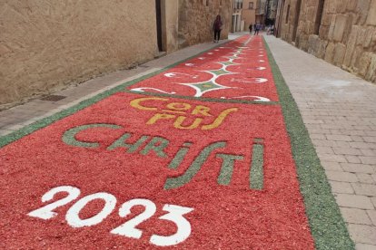 Alfombras florales en San Esteban.-ANA HERNANDO