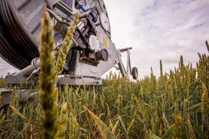 El Canal de regadío de Almazán cumple 50 años. - MARIO TEJEDOR