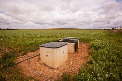 El Canal de regadío de Almazán cumple 50 años. - MARIO TEJEDOR