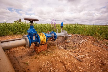 El Canal de regadío de Almazán cumple 50 años. - MARIO TEJEDOR