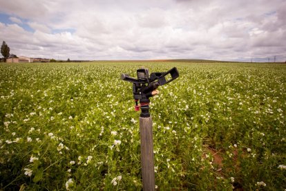 El Canal de regadío de Almazán cumple 50 años. - MARIO TEJEDOR