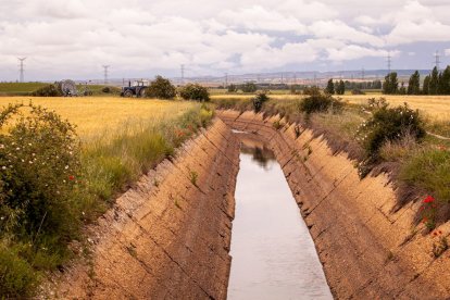 El Canal de regadío de Almazán cumple 50 años. - MARIO TEJEDOR