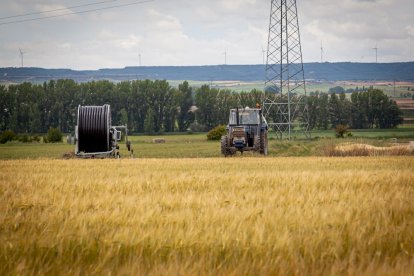 El Canal de regadío de Almazán cumple 50 años. - MARIO TEJEDOR