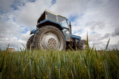 El Canal de regadío de Almazán cumple 50 años. - MARIO TEJEDOR