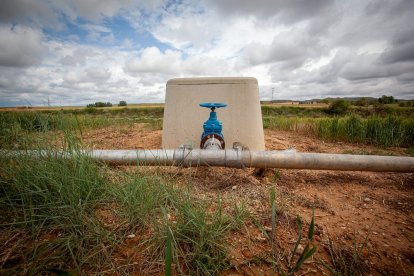 El Canal de regadío de Almazán cumple 50 años. - MARIO TEJEDOR