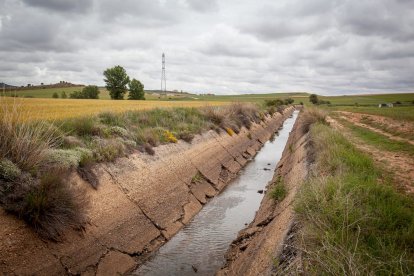 El Canal de regadío de Almazán cumple 50 años. - MARIO TEJEDOR
