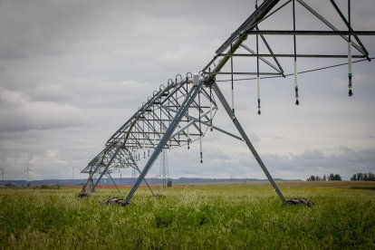 El Canal de regadío de Almazán cumple 50 años. - MARIO TEJEDOR