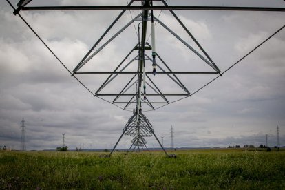 El Canal de regadío de Almazán cumple 50 años. - MARIO TEJEDOR